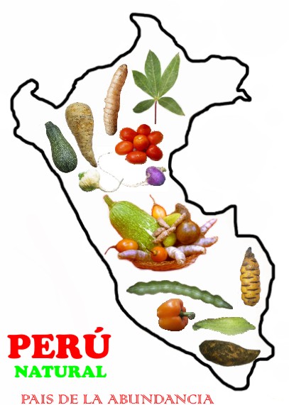 Alimentos peruanos con alto valor nutritivo