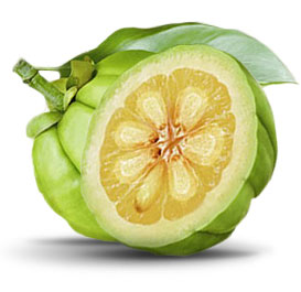 Tamarindo Malabar