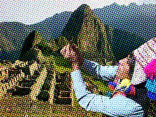 Hierbas medicinales en el Peru